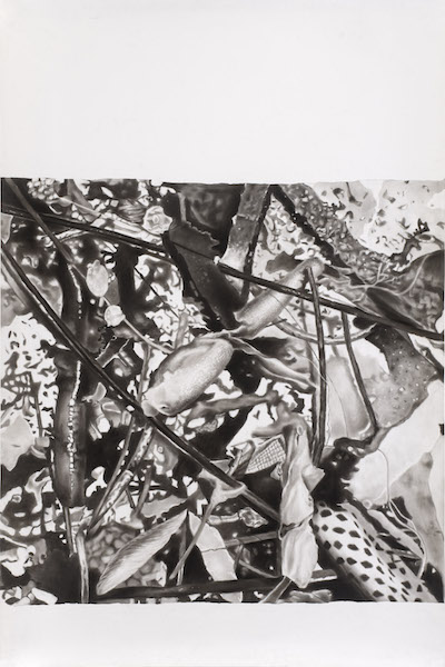 Peter Hock: Dust, 2019, Reißkohle auf Papier, 150 x 100 cm

